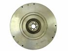 167724 Rhinopac Flywheel