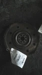 09 10 11 Tl Flywheel/flex Plate Automatic Transmission 3.7 Liter. Fixed Price $75.59.