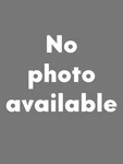 Porsche 911 Oem Outer Clutch Flywheel Bolt 02 99951001501. Fixed Price $32.00.