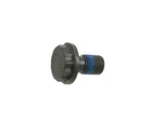 Flex Plate Bolt For 1996-2010, 2014-2015, 2017-2021 Vw Passat 2001 2002 FR397NR. Fixed Price $15.18.