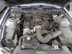 Flywheel/flex Plate Automatic Transmission 4.0L Sohc Fits 05-06 Mustang 18450411. Fixed Price $110.70.