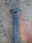 98-03 Jaguar XJ8 Xjr Vdp X308 XK8 X100 A/t Drive Prop Shaft Flex Rubber Disk Oem. Fixed Price $49.50.