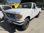 Flywheel/flex Plate Manual Transmission 7.3L Fits 88-94 Ford F250 Pickup 1349109. Fixed Price $100.00.