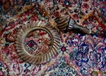 1965 - 72 Chrevrolet 12 Bolt Truck 3.73 Ring Pinion Gear Original Gm Made Usa. Fixed Price $149.00.