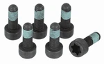 Sachs 1874 000 046 Screw Set, Flywheel. Fixed Price $38.08.