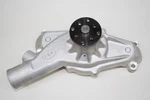 PRW1445402 W/pump Cast Bbc Vette 7174. Fixed Price $148.43.