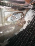 Used Automatic Transmission Assembly Fits: 2007 Honda Accord Sdn 3.0L Vin 5. Fixed Price $500.00.