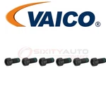 Pc Vaico Clutch Flywheel Bolt For 2006-2008 Audi A3 2.0L L4 Transmission Fh. Fixed Price $149.60.