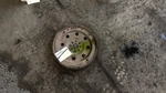 Flywheel/flex Plate 2.7L Turbo Fits 15-17 Ford F150 Pickup 724090. Fixed Price $104.90.