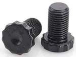 Arp 200-2906 Pro Series Flexplate Bolts. Fixed Price $19.99.
