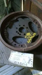 97 98 99 00 01 02 03 04 Mercedes SLK230 Flywheel/flex Plate 170 Type. Fixed Price $88.58.