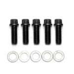 Wilwood 230-6911 Bolt Kit-drive Flange. Fixed Price $28.55.