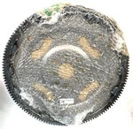 Mopar 68544198AA Flexplate Torque Converter Drive 13-24 Chrysler Dodge Jeep Ram. Fixed Price $125.00.
