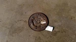 Used Automatic Transmission Flexplate Fits: 2009 Buick Lucerne 6-173 2.8 Grad. Fixed Price $80.79.