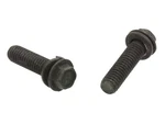 1967-1981 Corvette Fuel Pump Bolt 327. Fixed Price $8.20.