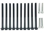 Head Bolt Set Chevy Buick Gmc Pontiac Saturn 2.4L 2.2L 2.0L Dohc Eco-tec ES72196. Fixed Price $23.99.